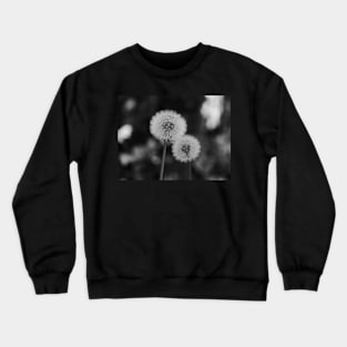 Two Dandelions in a black and white background Crewneck Sweatshirt